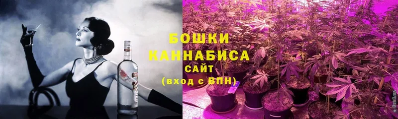 где продают   Павловский Посад  Каннабис White Widow 